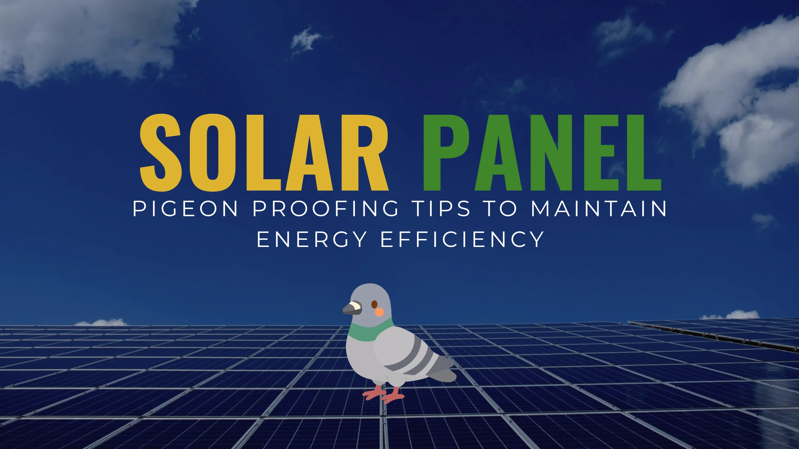 Expert Solar Panel Pigeon Proofing | Golden Globe Ltd - Golden Globe Merchants Ltd Expert Solar Panel Pigeon Proofing | Golden Globe Ltd